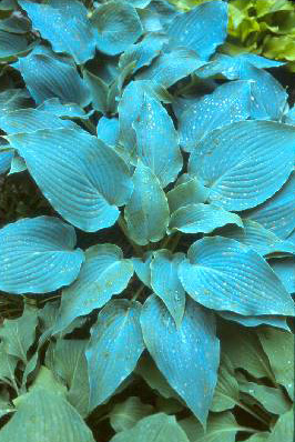 'BarbaraMay'