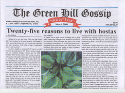 2006 Gossip