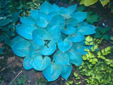'PrairieSky'