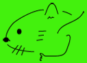 A Vole